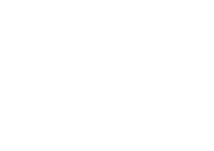 Logo Castria Studios